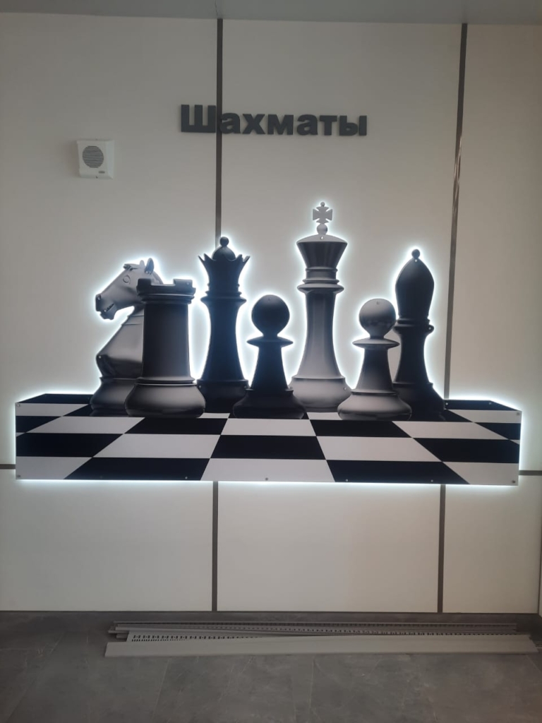 Шахматы